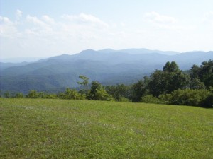 View from Buck Bald