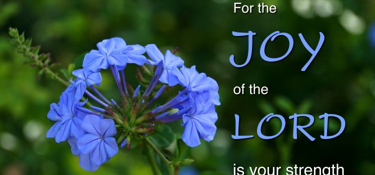 Nehemiah 08:10 Abounding Joy!