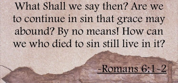 Romans 06:01-02 (Part 1) Understanding Sin–and Ourselves