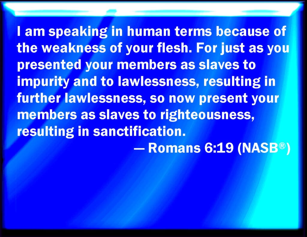 Romans 6:19 The Weakness of the Flesh | Welcome to Abounding Joy!