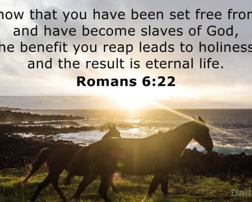 Romans 6:20-23 Deriving Your Benefit