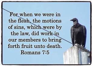 Romans 7:4-5 No Longer in the Flesh